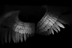 18298618_6f270045c4